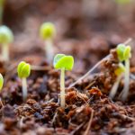 日本人的生理需求 1eg0wfckn