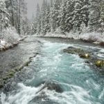 亚洲五月色丁香婷婷婷在线 cn8ba