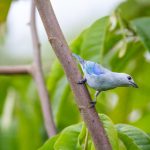 p站是什么站:揭秘P站的起源、功能与用户群体分析 3u7yv04f