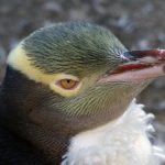 买一赠二,超值优惠活动等你来参与! ee0z48kie